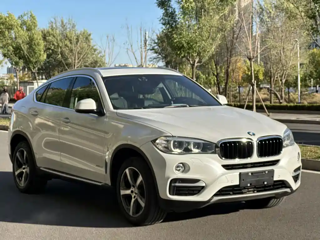 BMW X6 — миниатюра 4