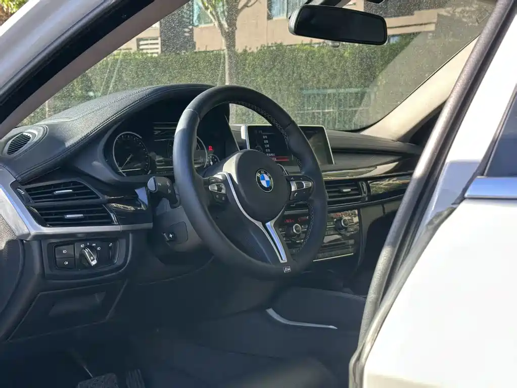 BMW X6 — миниатюра 19