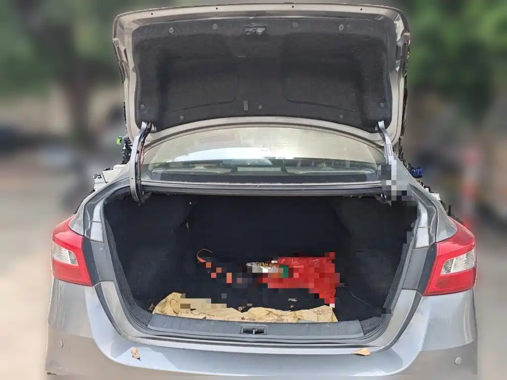 Nissan Sylphy — миниатюра 15