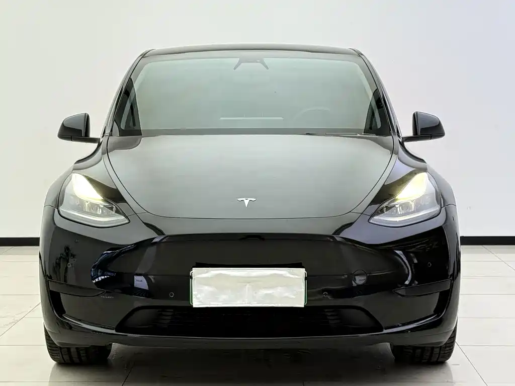 Tesla Model Y — миниатюра 3