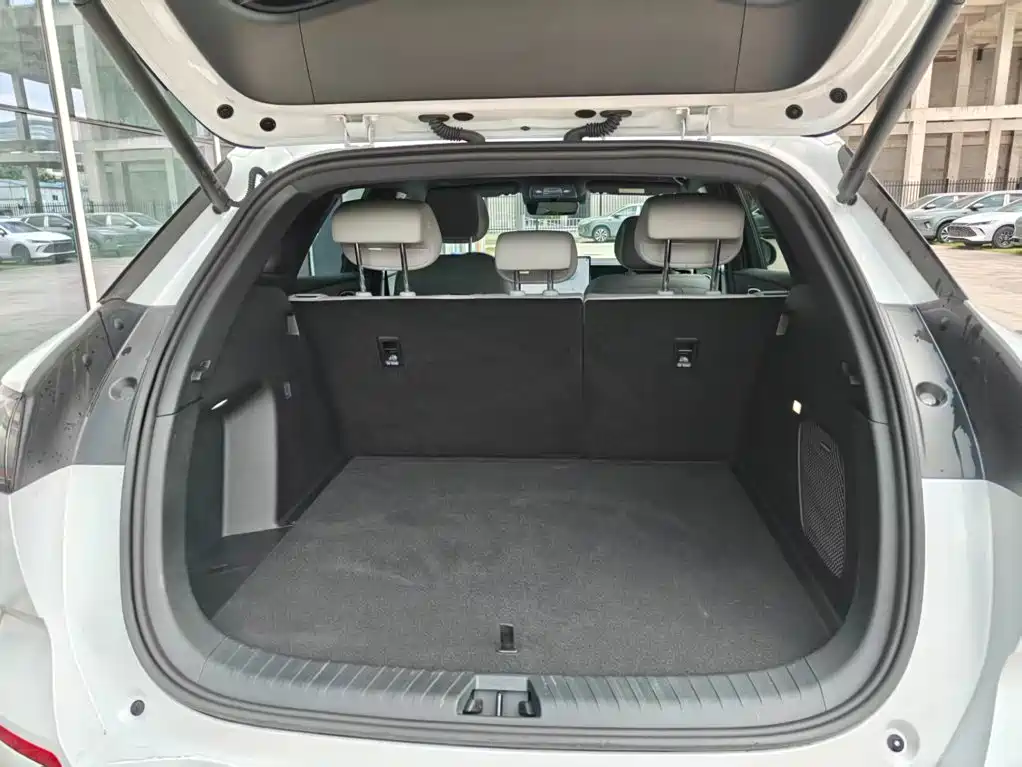 BYD Sealion 06 — миниатюра 18