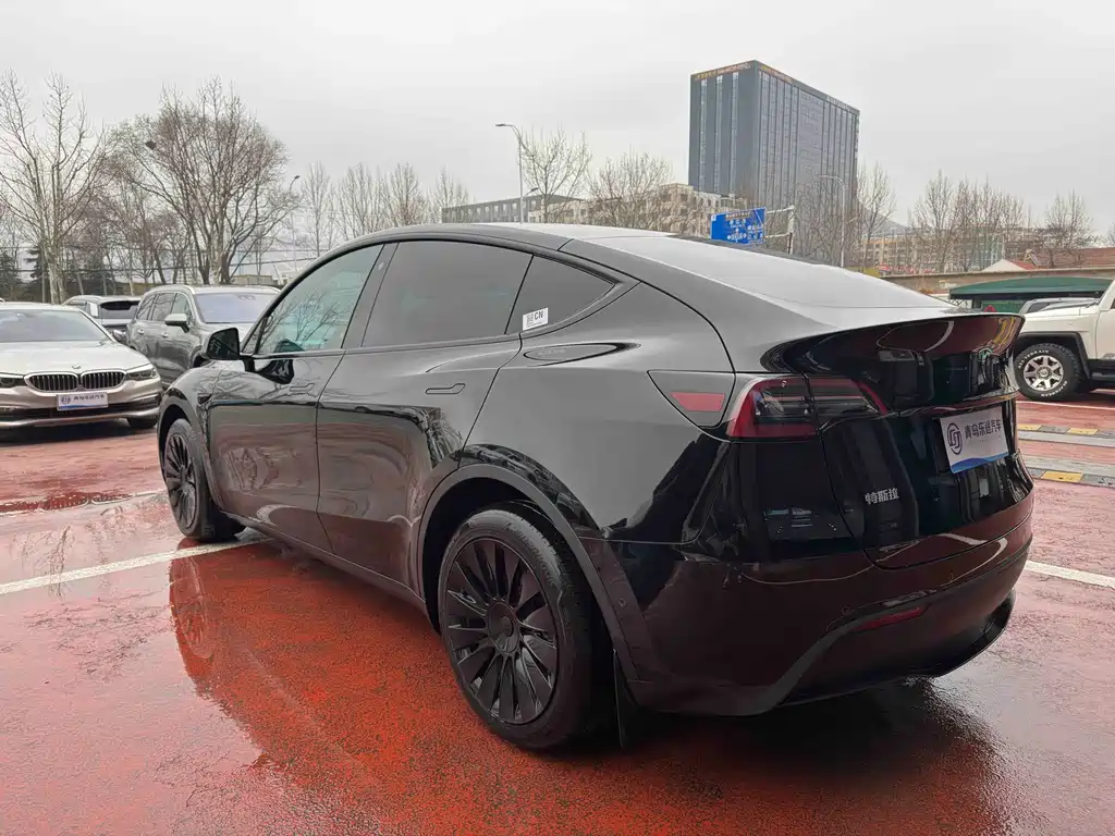 Tesla Model Y — миниатюра 4