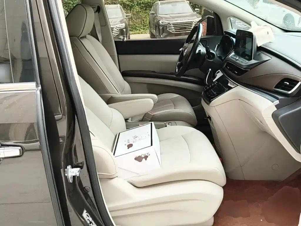 Buick GL8 — миниатюра 25