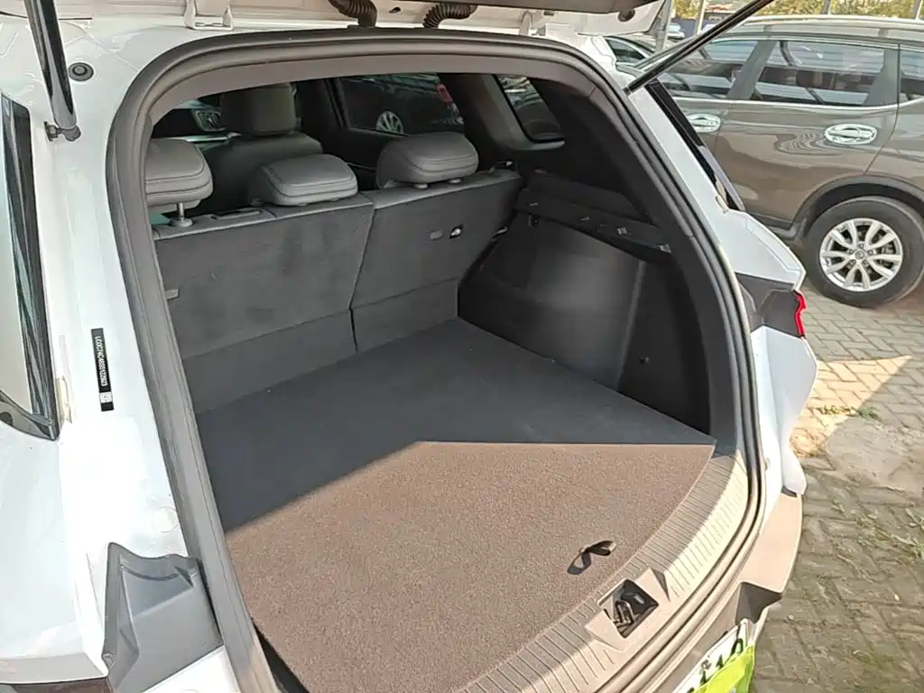 BYD Pro New Energy — миниатюра 19