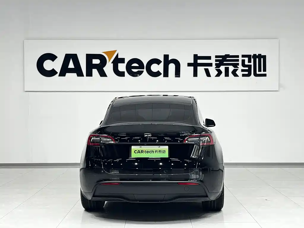 Tesla Model Y — миниатюра 2