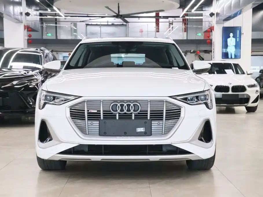 Audi e-tron — миниатюра 2
