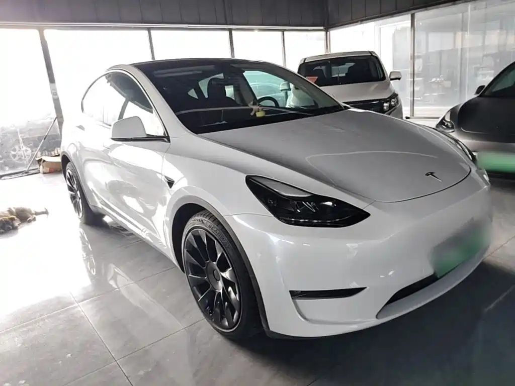 Tesla Model Y — миниатюра 4