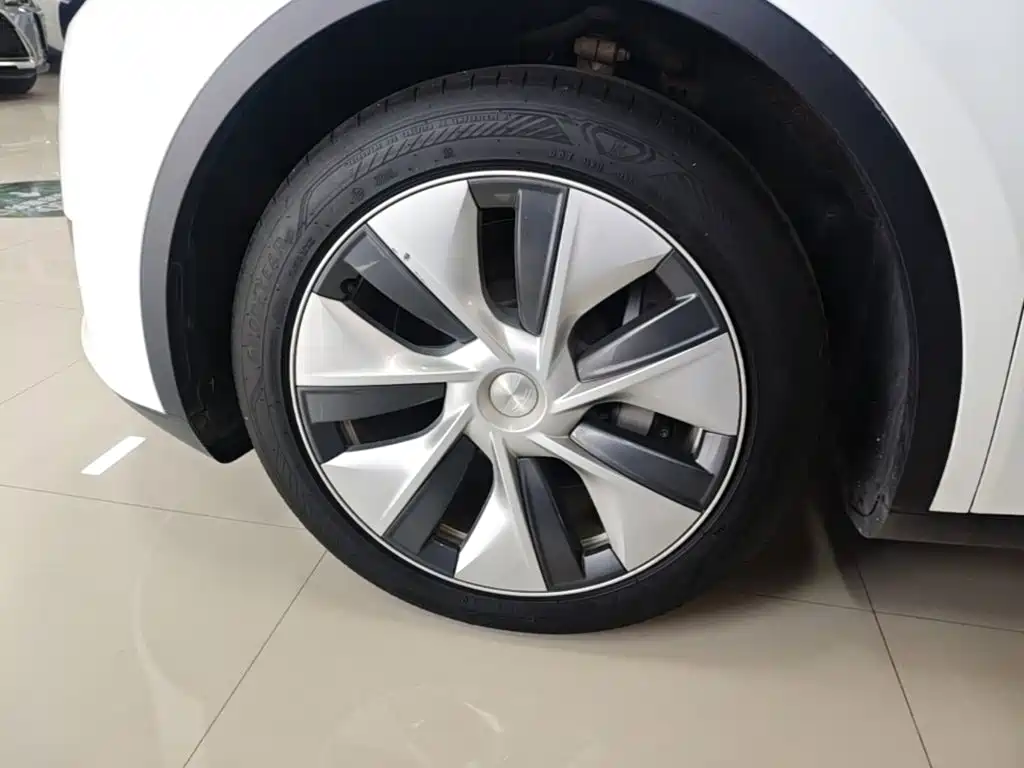Tesla Model Y — миниатюра 23