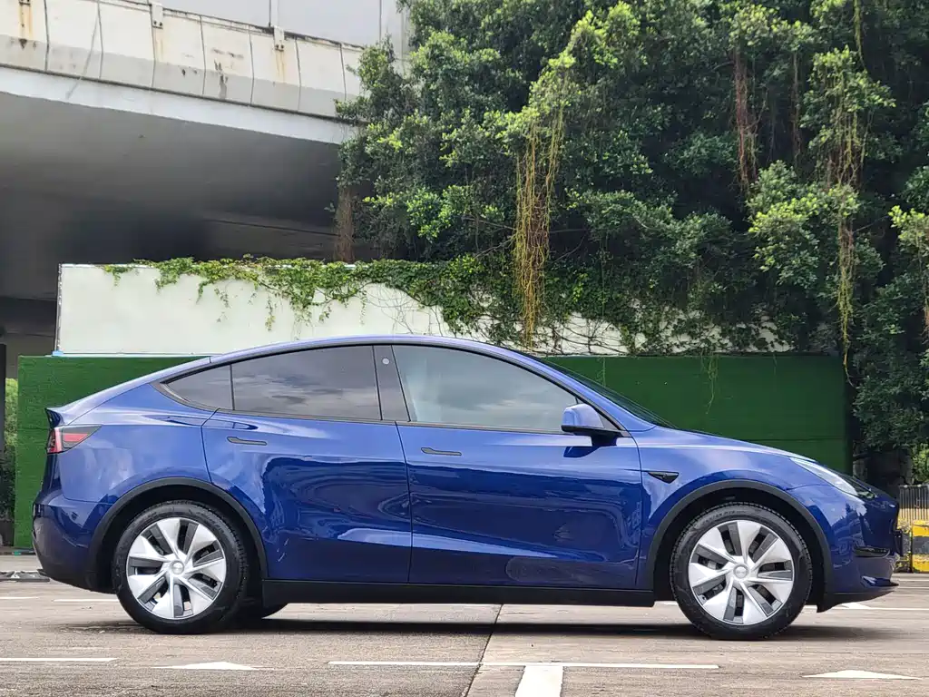 Tesla Model Y — миниатюра 13