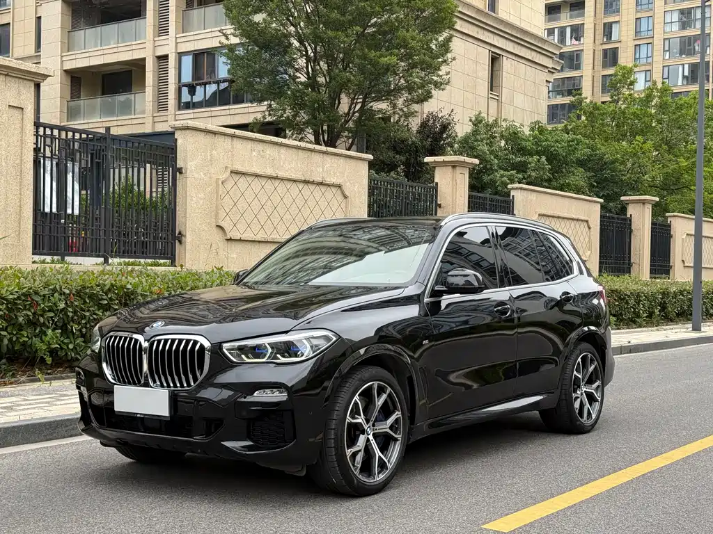 BMW X5 (Import) 2019