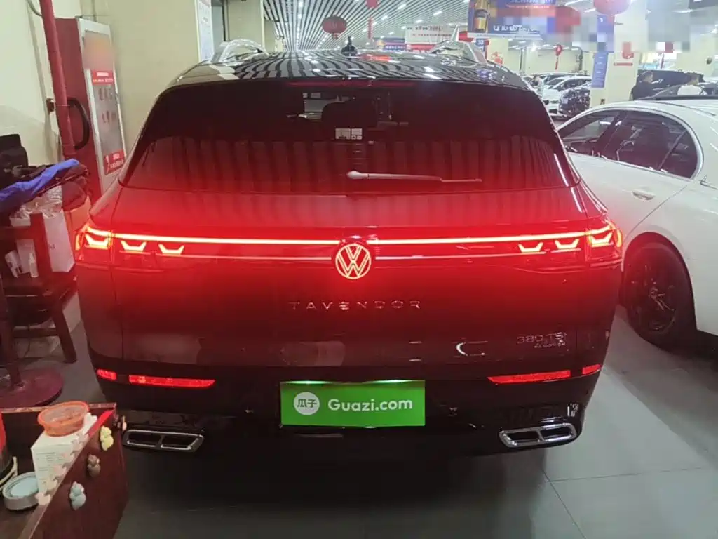 Volkswagen Tavendor — миниатюра 6