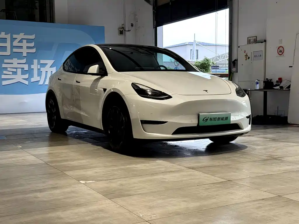 Tesla Model Y — миниатюра 3