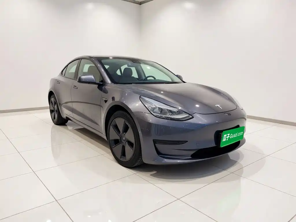 Tesla Model 3 — миниатюра 3