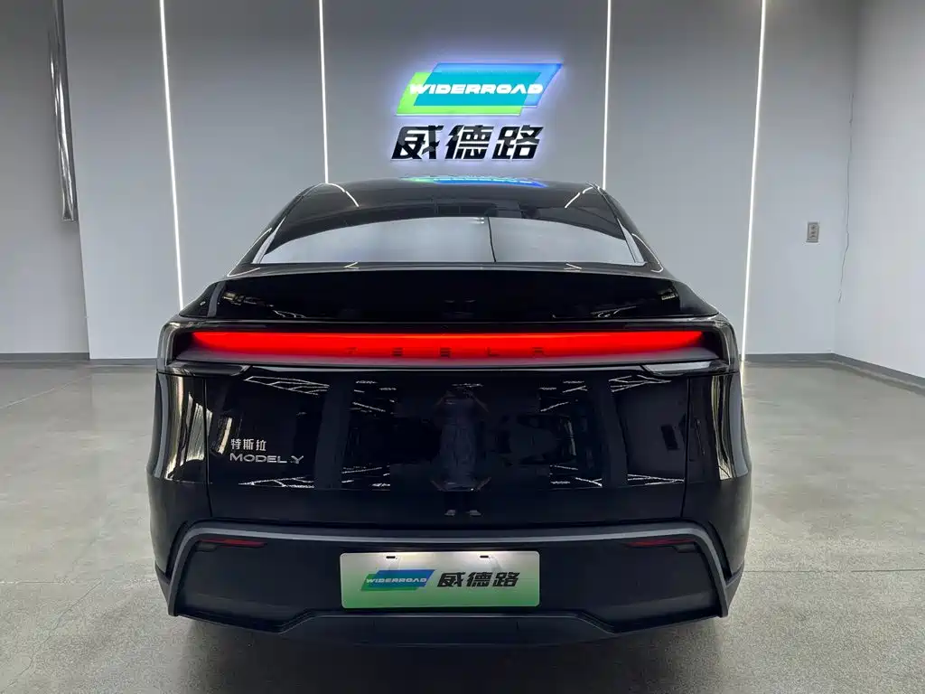 Tesla Model Y — миниатюра 6