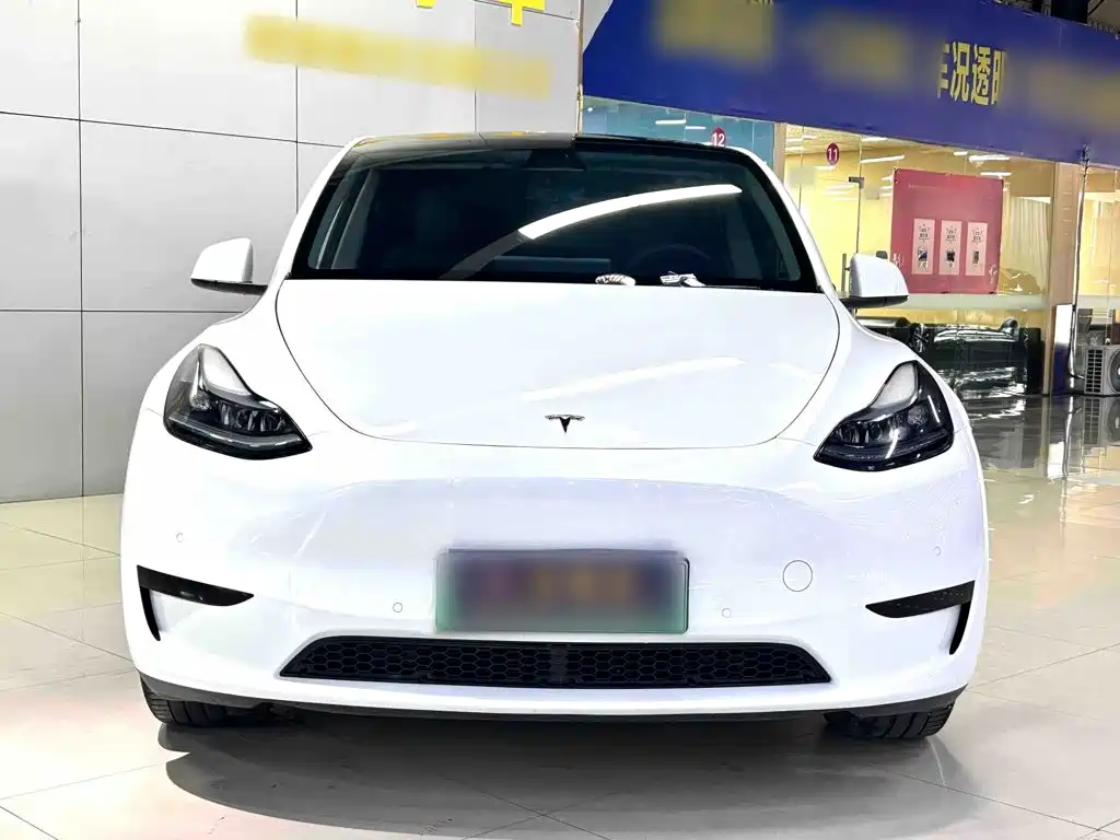 Tesla Model Y — миниатюра 13
