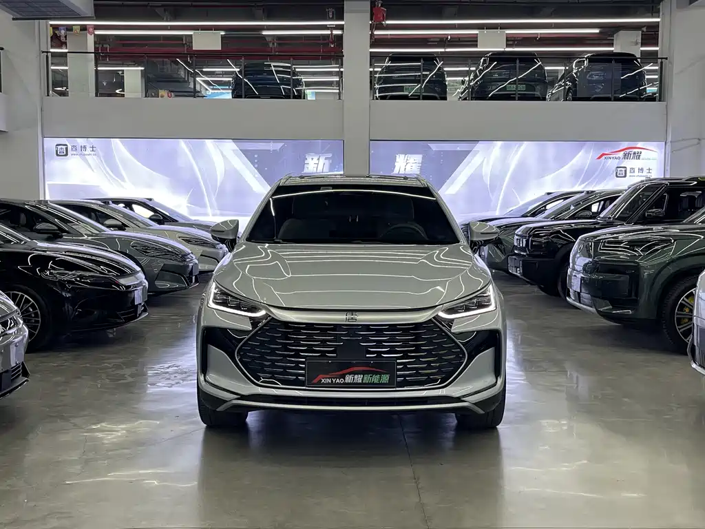 BYD Tang New Energy - фото 2
