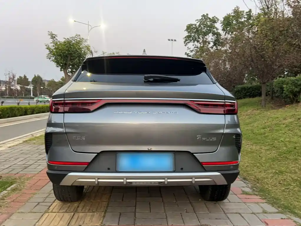 BYD PLUS — миниатюра 11