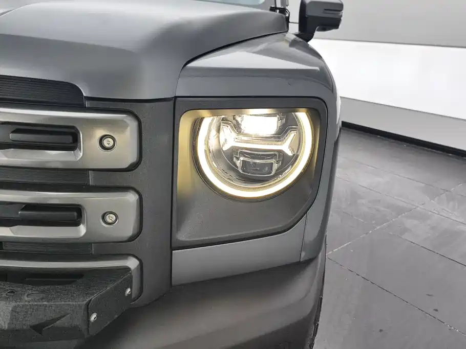 Haval Menglong New Energy — миниатюра 5