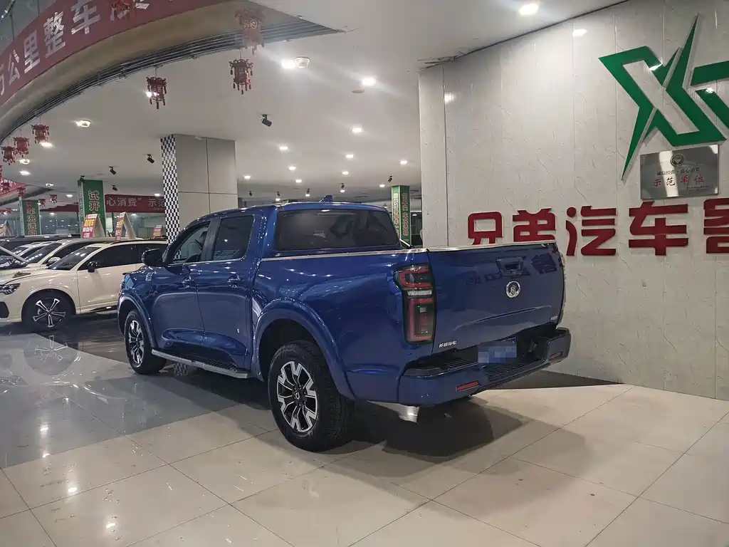 Great Wall Pao — миниатюра 12