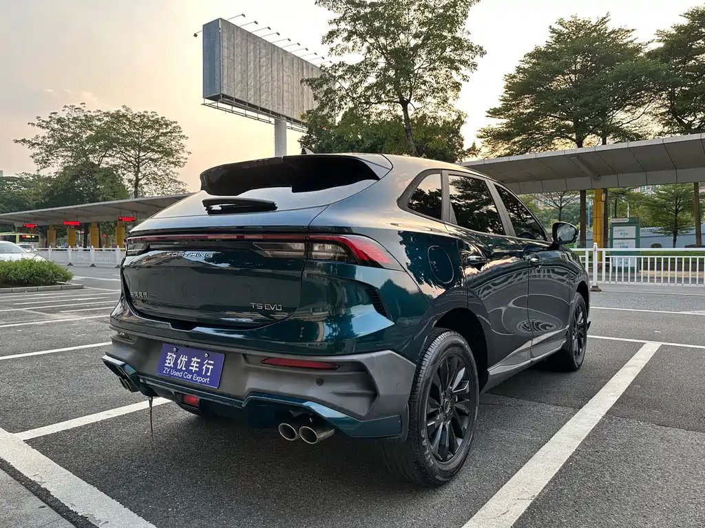 Fengxing Fengxing T5 EVO — миниатюра 6