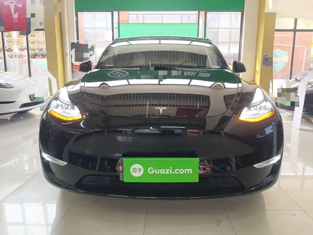 Tesla Model Y — миниатюра 3