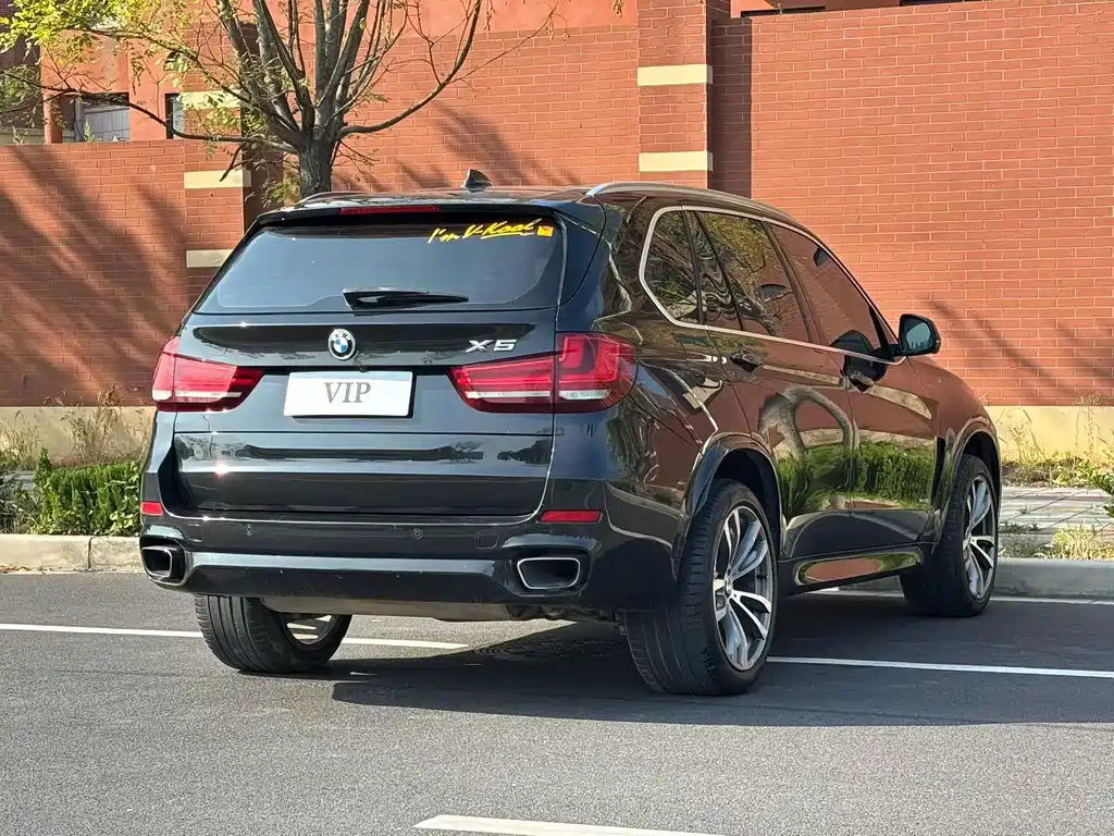 BMW X5 (Import) — миниатюра 9