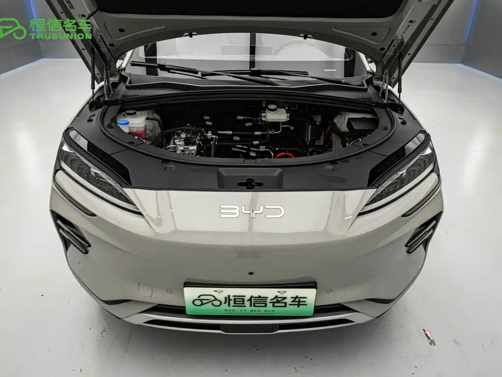 BYD PLUS New Energy — миниатюра 20
