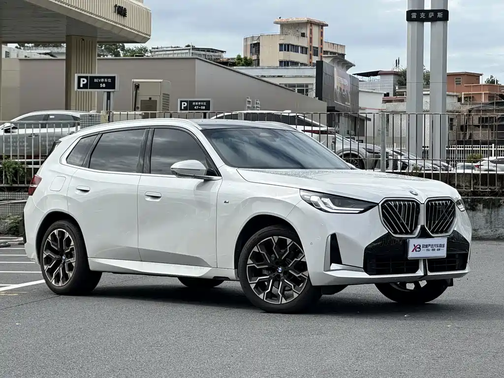 BMW X3 — миниатюра 2