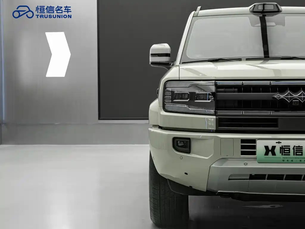 FANG CHENG BAO LEOPARD 5