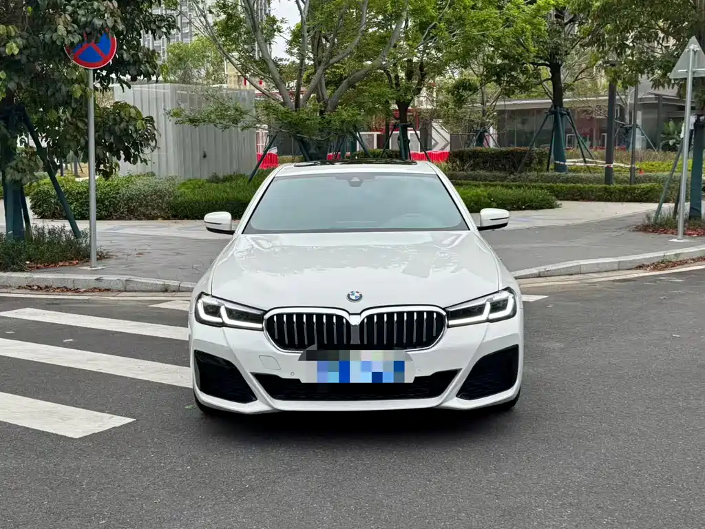 BMW 5 Series (Import) 2021