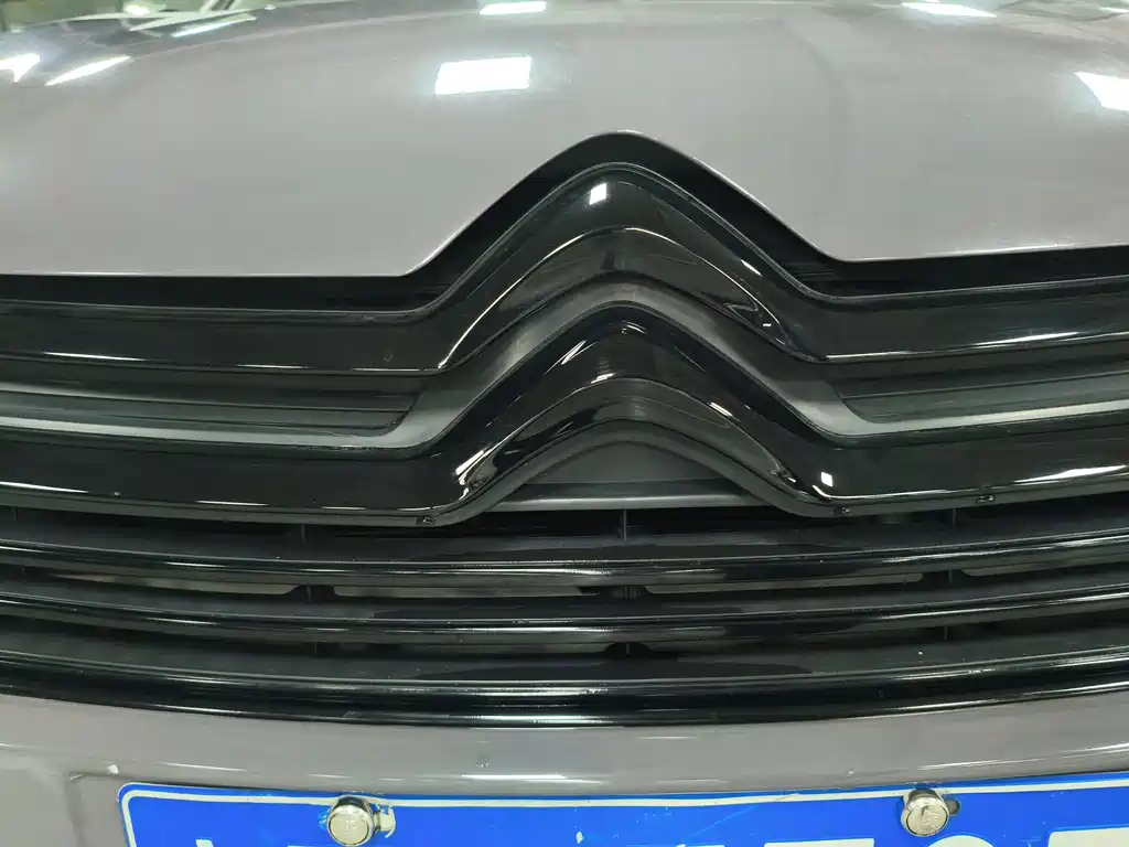 Citroen C5 — миниатюра 24