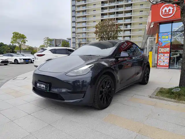 TESLA MODEL Y 2025