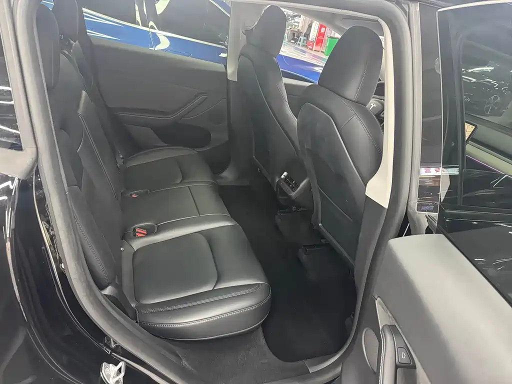 Tesla Model Y — миниатюра 7