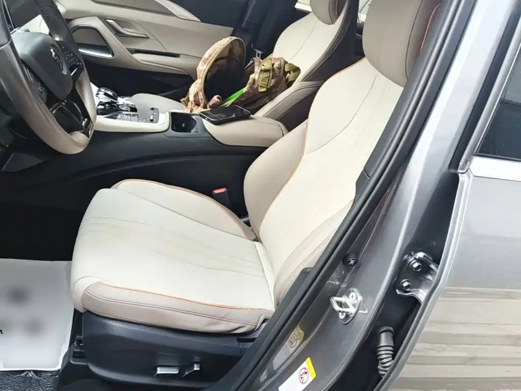 BYD Pro New Energy — миниатюра 15