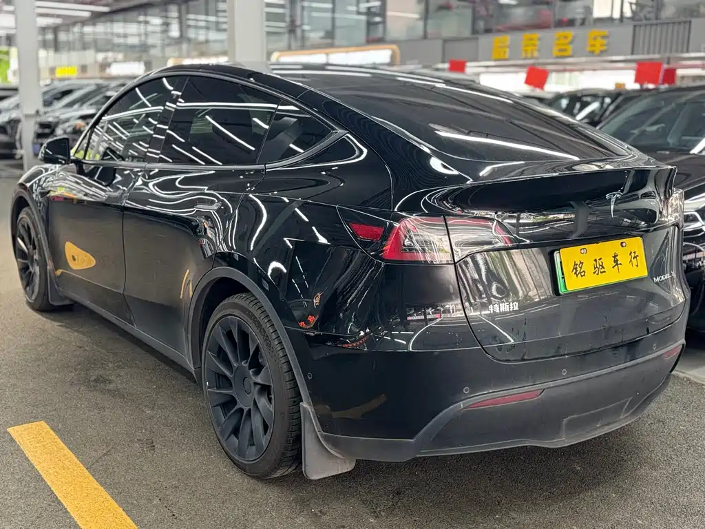Tesla Model Y — миниатюра 4