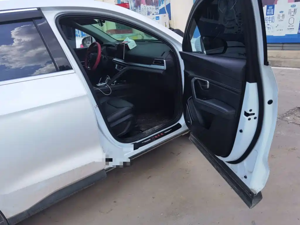 BYD Pro — миниатюра 18