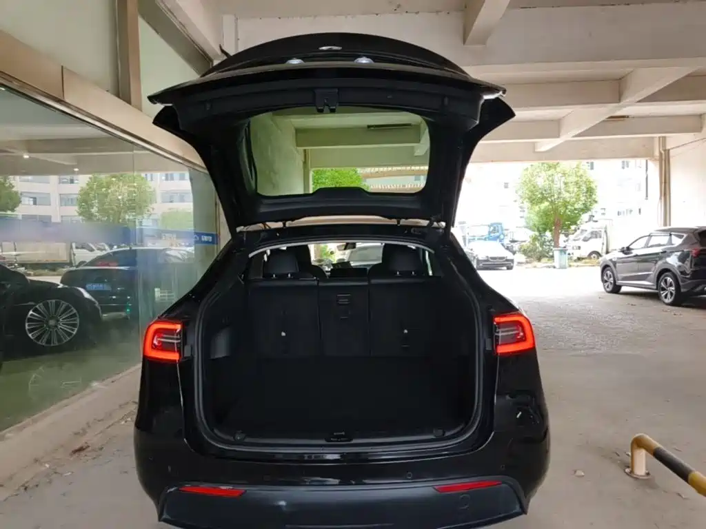 Tesla Model Y — миниатюра 19