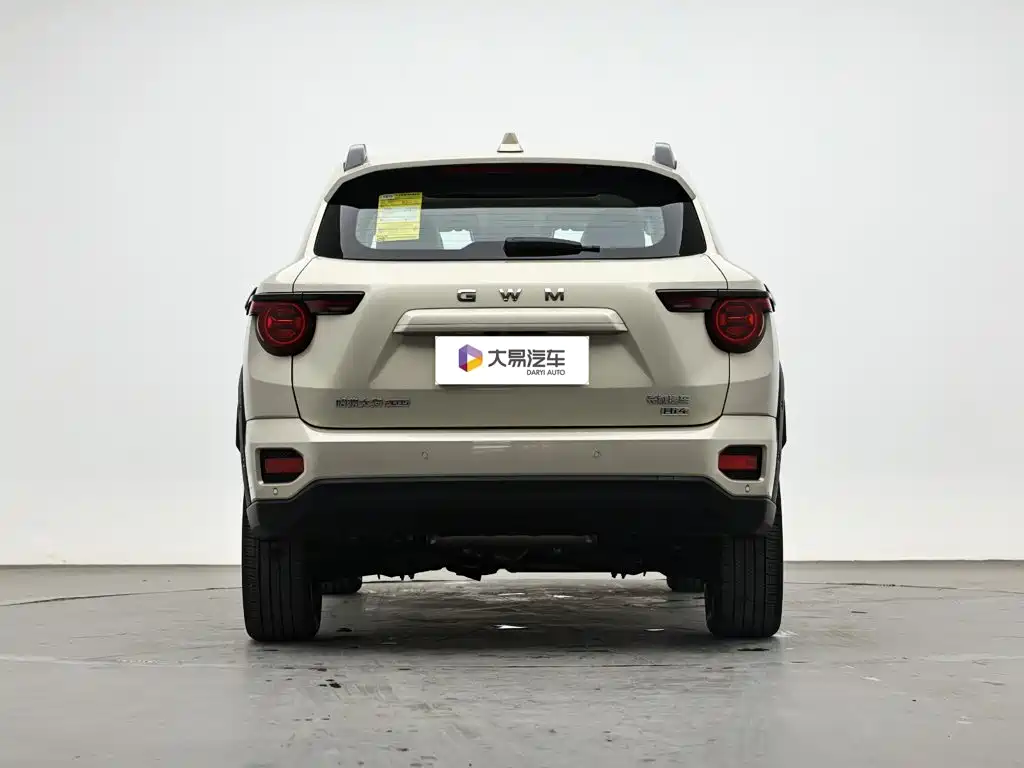 Haval Big Dog PLUS New Energy — миниатюра 4