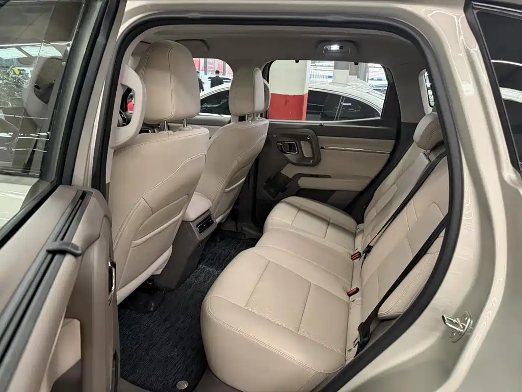 Haval Big Dog PLUS New Energy — миниатюра 12
