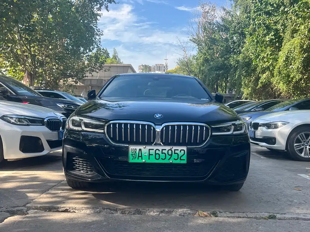 BMW 5 Series New Energy — миниатюра 3