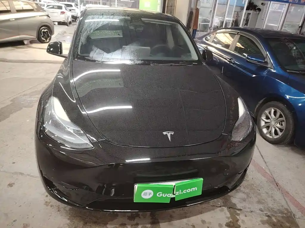 Tesla Model Y — миниатюра 3