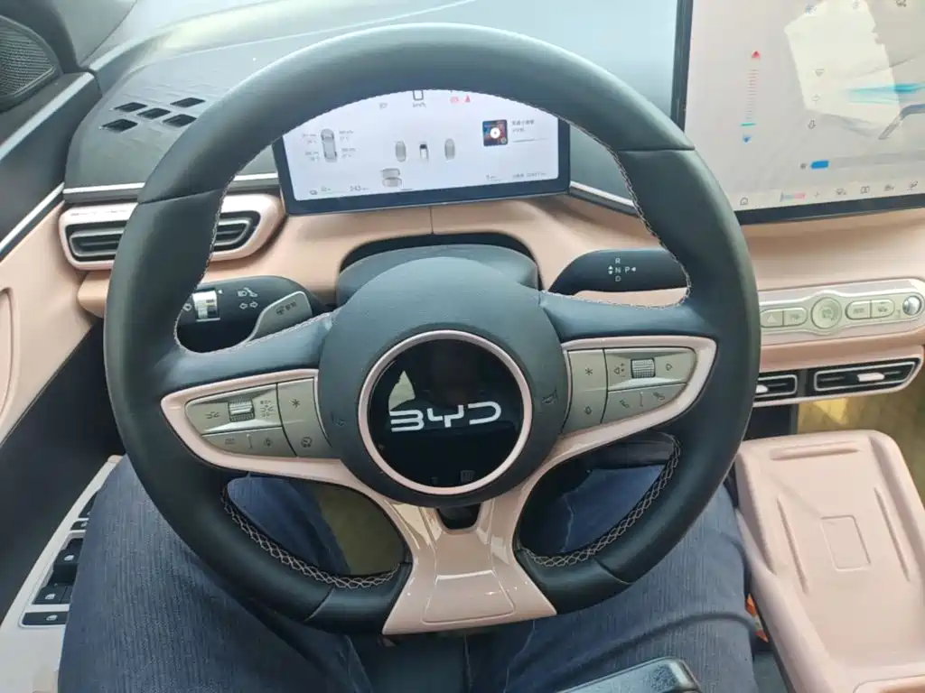 BYD Seagull — миниатюра 11