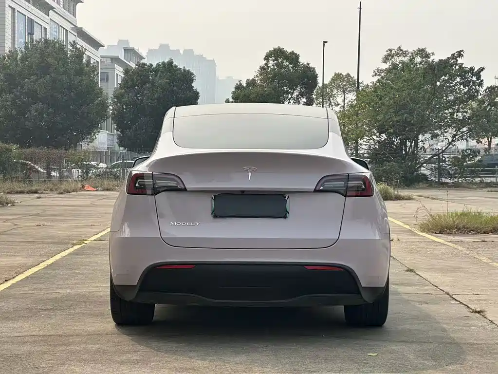 Tesla Model Y — миниатюра 5