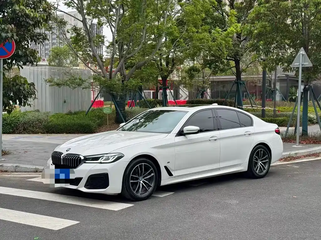 BMW 5 Series (Import) 2021