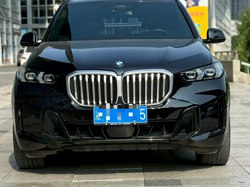 BMW X5 — миниатюра 2
