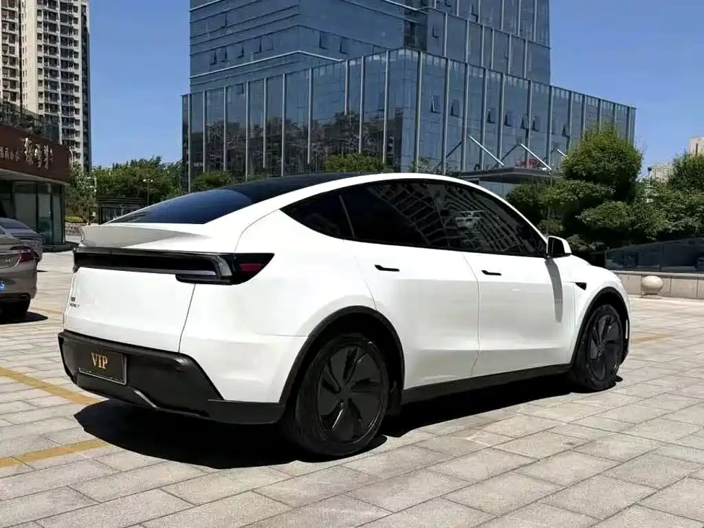 Tesla Model Y — миниатюра 9