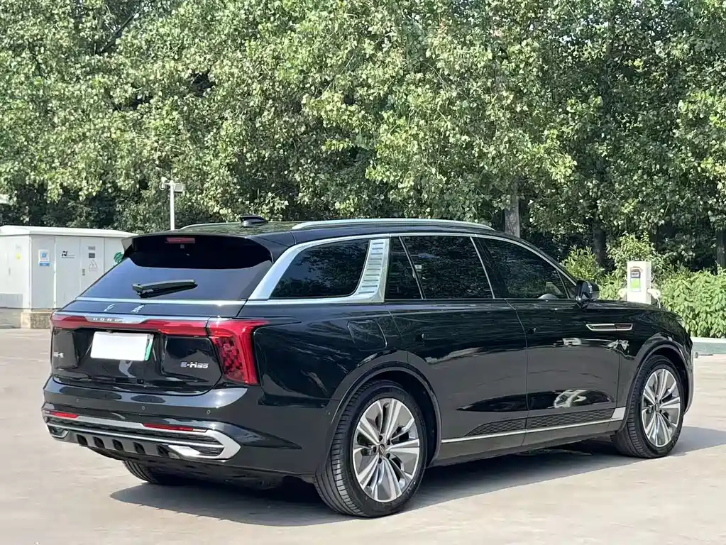 Hongqi Hongqi E-HS9 — миниатюра 7