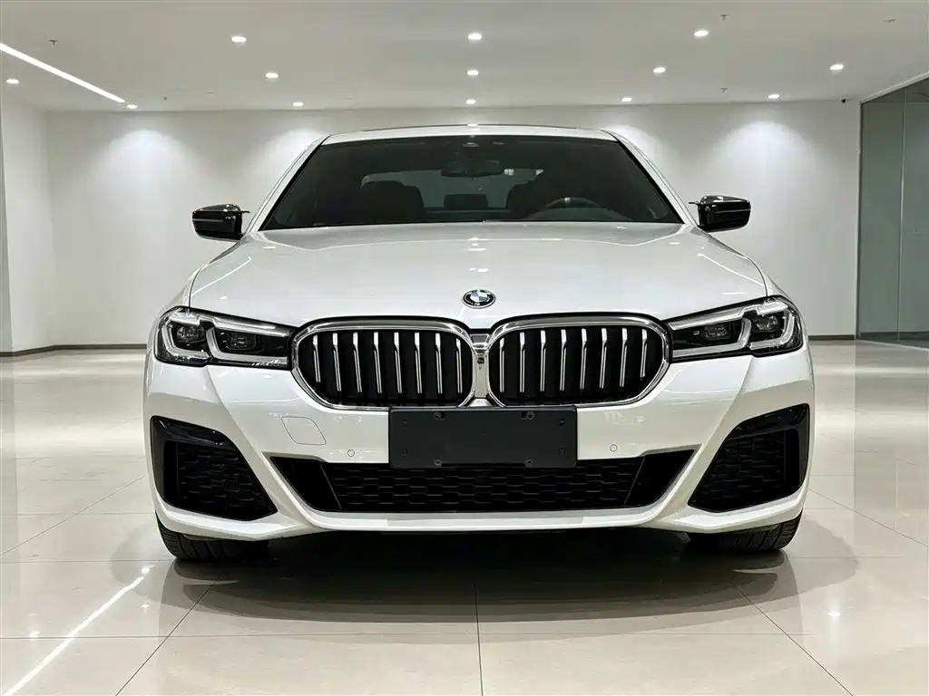 BMW 5 Series — миниатюра 2