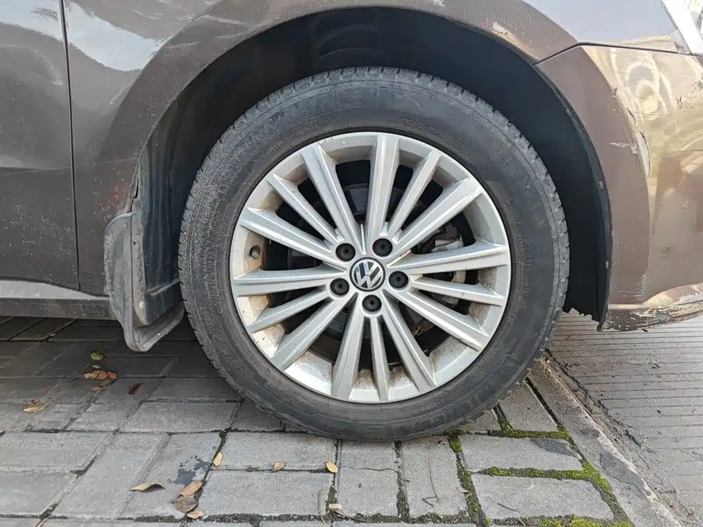 Volkswagen Gran Lavida — миниатюра 24