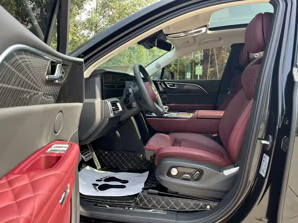 Hongqi Hongqi E-HS9 — миниатюра 4